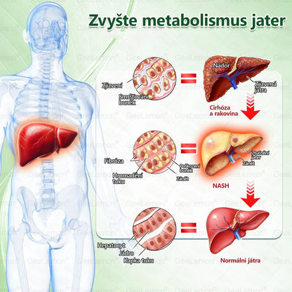 👩‍⚕️ 🎁 𝐆𝐞𝑒𝑙𝑒𝐦𝐨𝐧® Glum𝐚𝐬𝐞tide 8 v 1 – Zeštíhlující nano mikrojihlový náplast 🇨🇿 Jen 1× denně ✅ Viditelné změny za 7 dní – na obezitu, kardiovaskulární zdraví, diabetes a kloubní problémy